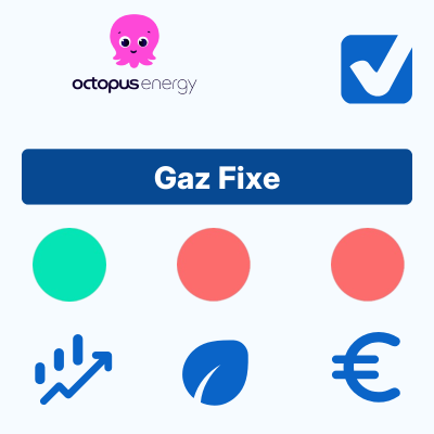 Gaz Fixe d'Octopus Energy