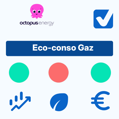Eco-conso Gaz d'Octopus Energy