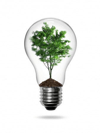Electricité verte