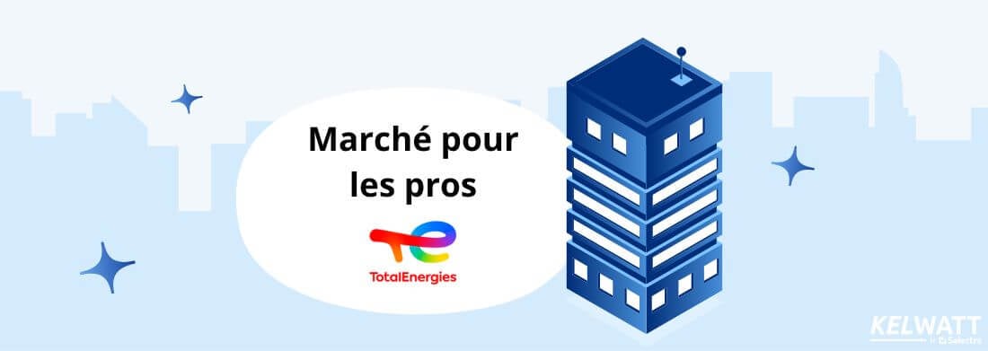 totalenergies total direct energie pro professionnel