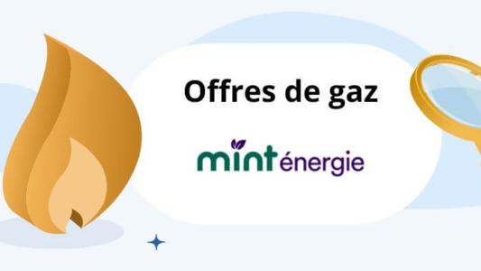 mint energie gaz