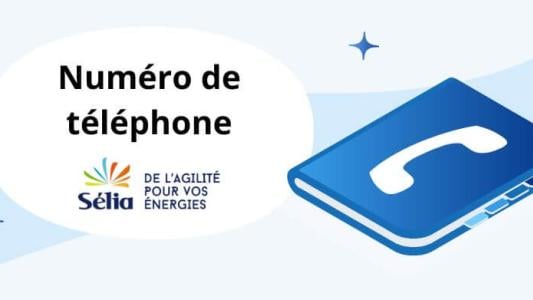 selia numéro téléphone