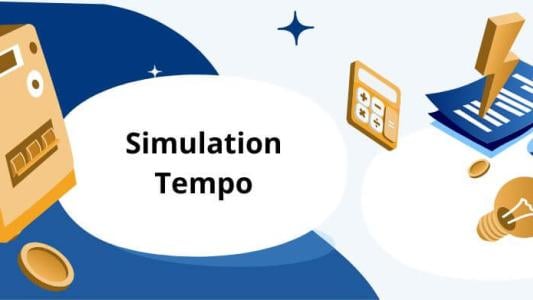 Simulation Tempo EDF