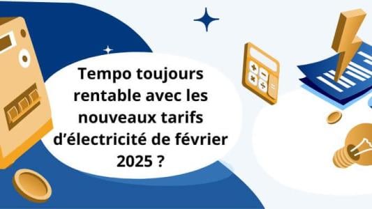 Tempo EDF rentable février 2025